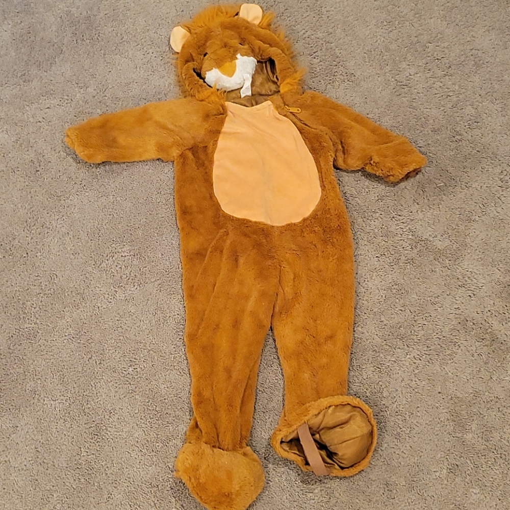 Lion Costume